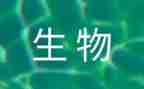 高中生物个人总结6篇