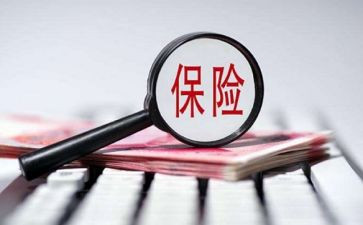 2023保险个人总结模板8篇