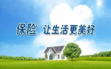 2023保险个人总结5篇