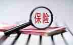 2023保险个人总结模板8篇