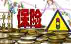 个人工作年度总结保险参考7篇