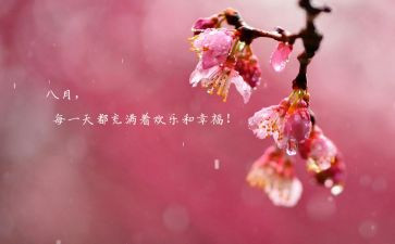 教师八月份工作总结8篇