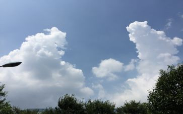 变化规律教学反思8篇