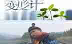 我变形记作文400字作文6篇