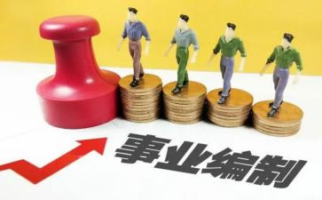 入编制前的个人总结7篇
