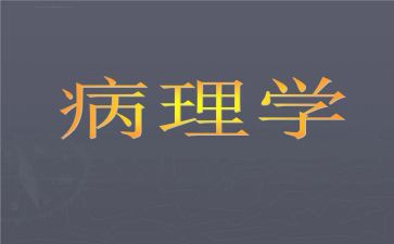 2023病理医生个人总结6篇