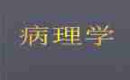 2023病理医生个人总结6篇