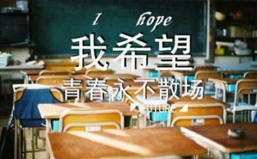 毕业实习会计个人总结6篇