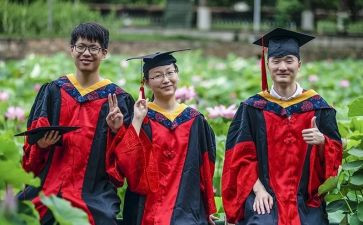 博后年度个人总结精选5篇