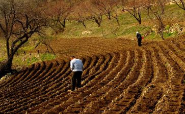 用爱播种希望演讲稿6篇