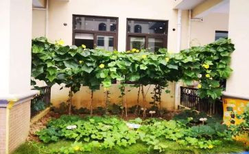 蔬菜上个人总结8篇