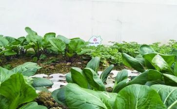 湘菜市场调查报告6篇