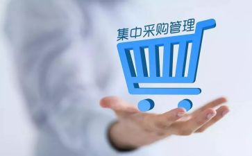 2023年采购工作个人总结通用7篇