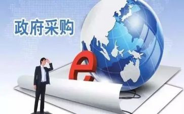 采购类个人总结精选5篇
