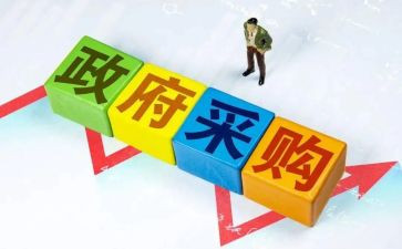 采购类个人总结8篇
