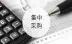2023采购助理年终总结精选6篇