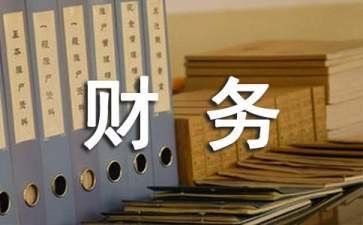 财务半年度个人总结最新8篇