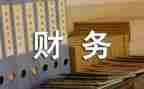 财务半年度个人总结最新8篇