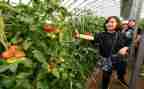 县采摘节活动方案7篇