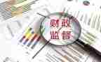 2023财政工作个人总结参考5篇