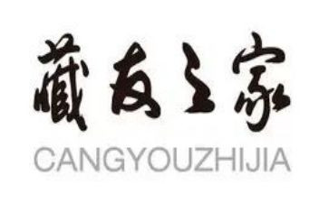 藏友活动总结7篇