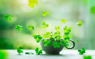 烟草行业个人总结5篇