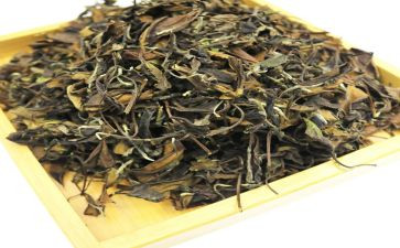 关于茶的优秀作文6篇