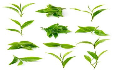 奶茶店活动方案5篇