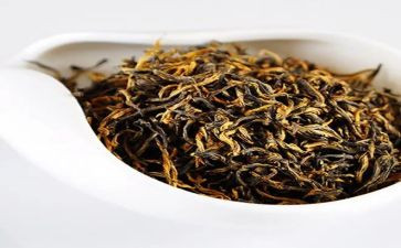 茶主题活动方案参考7篇