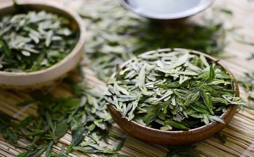 茶主题活动方案5篇