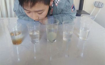 沉浮的蛋大班教案6篇