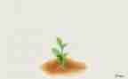 我成长中的他作文优质5篇
