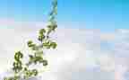 我在成长400字作文优质6篇