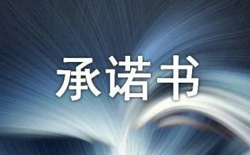 2024年工作承诺书优质5篇