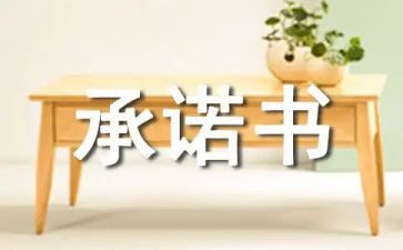 生产企业安全生产承诺书5篇