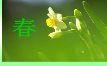 2023春幼师个人总结通用8篇