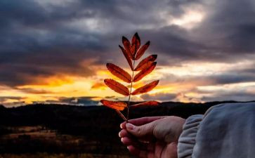 匆匆的读后感300字5篇