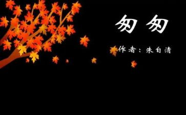 匆匆的读后感300字6篇