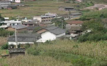 村助理工作个人总结6篇