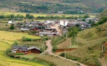 村会计个人年度总结8篇