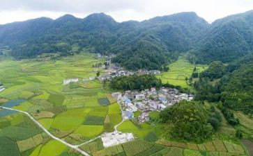 村财务述职报告精选7篇