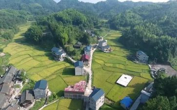 村卫生室年度总结范文5篇