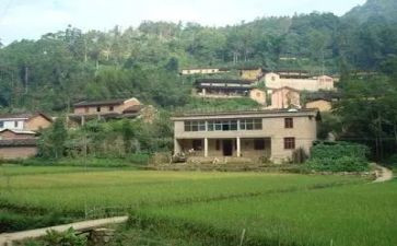 村年度工作个人总结最新7篇