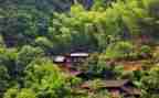 住村干部述职报告精选5篇