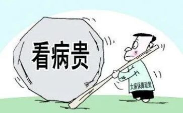 重大病申请低保申请书精选6篇