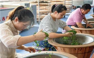 导师带徒导师工作总结通用6篇