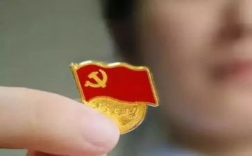 党日活动总结词7篇