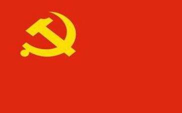 党会个人总结报告优秀5篇