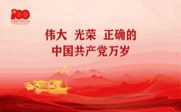 党贞个人总结最新6篇