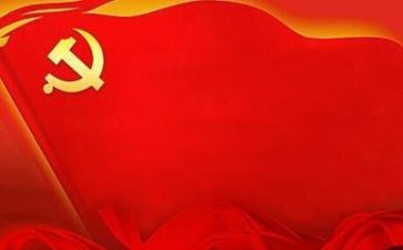 党会总结报告优质6篇